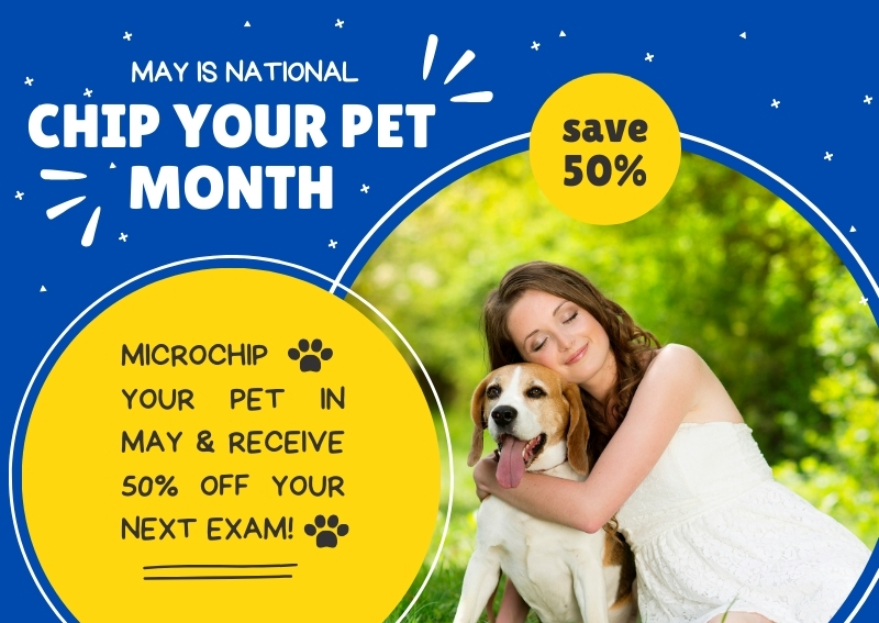Carousel Slide 3: Learn more about pet microchipping!