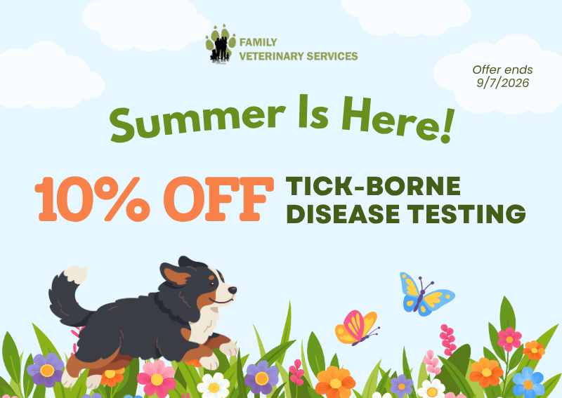 Carousel Slide 1: Book online today >